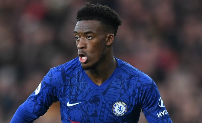 Callum Hudson-Odoi Positif Terinfeksi Virus Corona